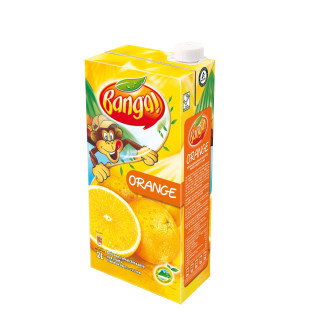 Jus BANGA orange (2L)