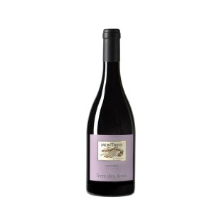 GIGONDAS RGE TERRE DES AINES 75 CL 14,5%