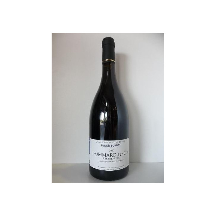 POMMARD JEROME SORDET 2011 75CL 13%