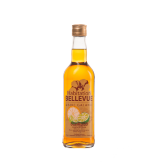 Punch Schrubb Bellevue 70CL